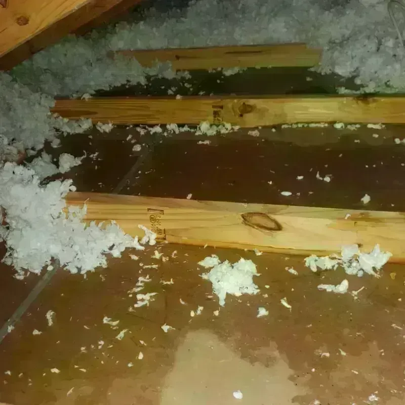 Attic Water Damage in Campo, CA